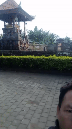 Evening documentation captures Balinese temple, sacred tree, parked vehicle