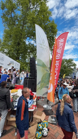 Public gathering draws crowds in Varna town square
