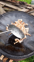 Backyard open-fire cookout with chicken, bacon, and fries