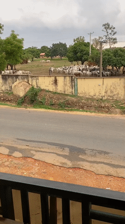 Daily Life Documented Across Bukuru, Nigeria During Afternoon Hours
