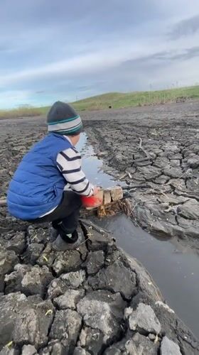 Boy places object in water channel amid cracked mudflats