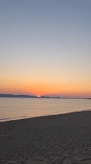 Sunset beach scene with coastal flora at golden hour