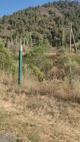 A handheld video captures a scenic outdoor environment. The camera pans across a hillside covered in sparse trees and dry vegetation under a clear blue sky. In the foreground, there is a fence post with green and white markings and an area with dry grass. Further back, trees and shrubbery are visible, with some taller trees on the slope. A white post with some writing is also partially visible near the fence. The footage appears to be recorded while moving, as indicated by slight camera shake and changes in perspective.