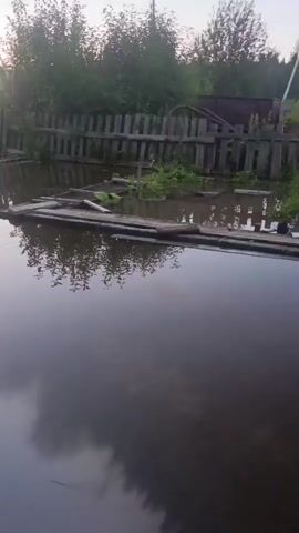 The video shows an outdoor scene that appears to be a flooded rural or semi-rural area. The water level is high, covering the ground and reaching the base of wooden structures. In the foreground, the water reflects the sky and surrounding trees. A wooden fence is partially submerged, with some of the posts visible above the water. Beyond the fence, there are more trees and some overhead power lines. A wooden building, possibly a house or shed, is visible on the right side of the frame. The building is constructed from logs and has a weathered appearance. Some wooden planks are scattered on the ground near the building, also in the water. The overall impression is one of flooding and likely damage to the property. There are no people visible in the video.