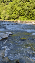 Afternoon at a clear mountain river outside Sochi