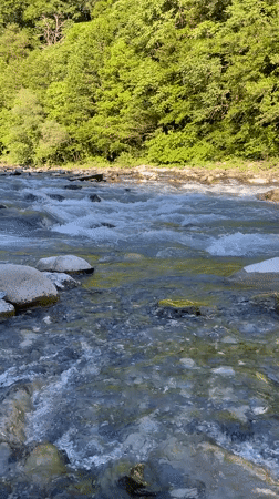 Afternoon at a clear mountain river outside Sochi