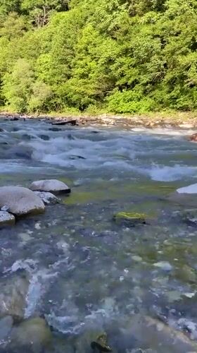 Afternoon at a clear mountain river outside Sochi