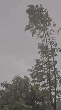 Storm brings heavy rain, strong winds to Lhokseumawe, Indonesia