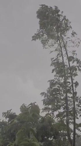 Storm brings heavy rain, strong winds to Lhokseumawe, Indonesia