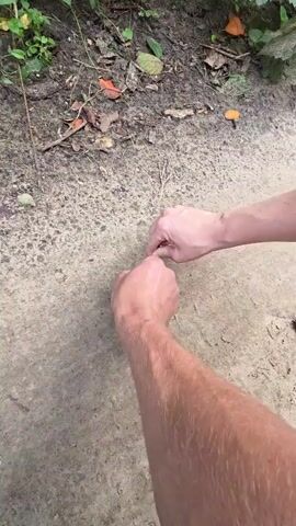 This close-up, first-person perspective video shows a person's hands drawing a heart shape in the dirt. The hands are bare and appear to be male, with visible arm hair. The scene is outdoors, with a path or dirt area in the foreground and a natural, somewhat overgrown area with greenery and fallen leaves in the background. The lighting suggests it could be daytime, possibly overcast or in shade, given the lack of harsh shadows. The ground is a mixture of dirt and small pebbles. The person is using their fingers and what appears to be a small twig to etch the outline of a heart into the ground. The activity is simple and creative, with a focus on the artistic gesture of drawing. There is no visible text in the video. The location context of Cekule, Latvia, provides a geographical setting for this outdoor activity.