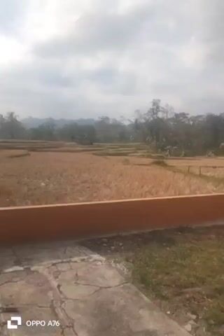 The video shows a wide shot of a rural landscape under a cloudy sky. In the foreground, there is a textured concrete patio with some cracks. A raised, orange-colored border runs horizontally across the frame, separating the patio from a field. The field appears to be agricultural, with rows of dry, golden-brown stalks, likely from a recently harvested crop such as rice. Beyond the field, trees and a distant mountain range are visible. The sky is overcast with some patches of brighter light suggesting the sun is trying to break through. There are no people or animals visible in the frame. The timestamp at the bottom left indicates the recording device is a "OPPO A76". The overall impression is of a serene, natural environment.