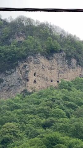 The video shows a landscape with a steep rock face dotted with dark openings, possibly caves or natural formations. The rock is a light gray color and appears somewhat eroded, surrounded by dense green foliage that covers the lower portion of the frame and the top of the rock formation. A bare-branched tree with small green leaves is visible in the foreground, slightly obscuring the view of the rock. The sky is overcast, creating a soft, diffused light across the scene. The camera appears to be positioned at a distance, capturing the scene from a slight upward angle. There are electrical lines visible at the top of the frame.
