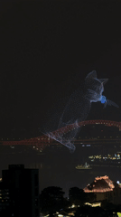 Cat drone show illuminates night dining scene in China