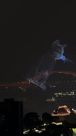 Cat drone show illuminates night dining scene in China