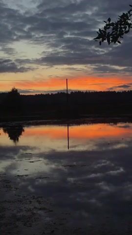 A tranquil scene unfolds as the sun sets over a still body of water. The sky is ablaze with a gradient of colors, from fiery oranges and pinks near the horizon to deeper blues and grays higher up, all softened by a canvas of scattered clouds. These vibrant hues are beautifully mirrored in the calm water, creating a symmetrical reflection of the sky and the silhouetted treeline that borders the opposite shore. A slender, dark pole rises vertically from the water, its reflection extending downwards like a dark line bisecting the colorful display. The foreground shows the textured edge of the water, with some murky vegetation visible. A single branch with dark leaves hangs into the frame from the top right corner, adding a touch of nature's detail to the otherwise serene landscape.