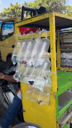 Mobile betta fish vendor operates from motorcycle cart in Denpasar