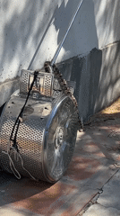 Snake removed from old washing machine in Argentina