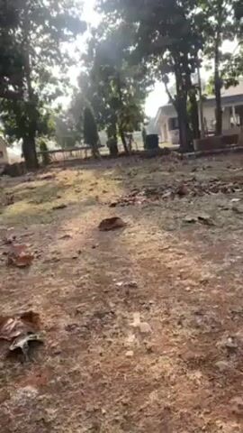 The video shows a daytime outdoor scene with a dirt ground, scattered leaves, and sparse greenery. Trees surround the area, casting shadows on the ground. In the background, a building is visible with a light-colored exterior and a green roof. The sky is bright, and sunlight filters through the trees. No people or animals are visible. The camera is static, and there is no visible action besides the natural lighting and subtle movements of leaves.