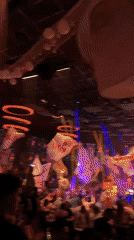 Nightclub crowd waves BUSHIDO flags in Plovdiv, Bulgaria
