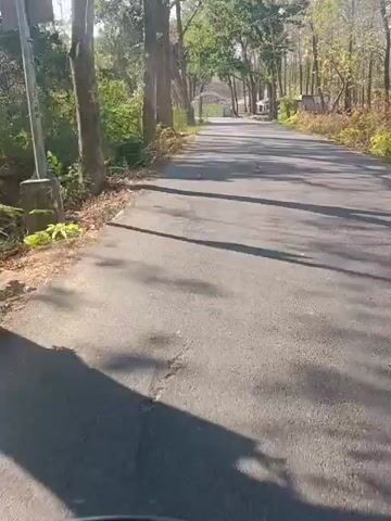 The video shows a road lined with trees on both sides. Sunlight filters through the leaves, casting shadows on the asphalt. The road curves gently ahead, and in the distance, there appears to be a structure, possibly a building or an entrance archway. The environment appears to be a natural setting, possibly a park or a rural area. The camera is moving forward along the road, suggesting a journey or a drive. There are no people or animals visible in the frame. The overall atmosphere is peaceful and serene.