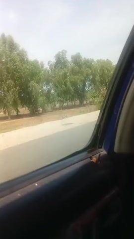 A video captures a view from inside a vehicle, looking out the right-side window. The window frame is dark and textured. Outside, a paved road is visible, running parallel to a line of trees. The trees vary in size and foliage density, with some appearing taller and fuller than others. The ground beyond the road is dirt or sand, with sparse vegetation. The sky is overcast and bright. The perspective suggests the vehicle is in motion, as the scenery appears to be passing by. The footage is grainy, and the lighting is natural daylight. No individuals or specific actions are clearly discernible, beyond the implied movement of the vehicle.
