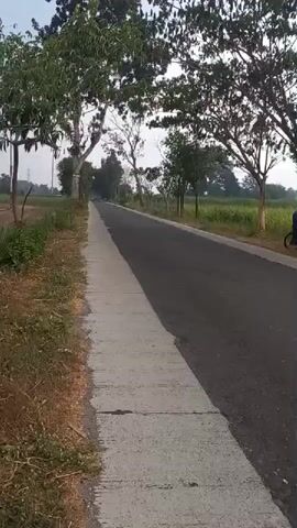 The video shows a road with a paved shoulder. On the left side of the road, there is dry grass and some trees. On the right side of the road, there is a field of green crops and more trees. The road stretches into the distance and appears to be in a rural area. A person on a bicycle is visible on the right side of the road, further down the road. The sky is overcast.