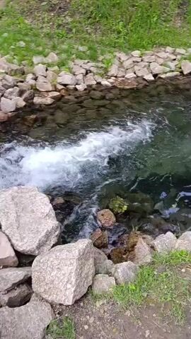 This media file captures a scenic view of a clear, flowing river, likely a spring-fed one, with a rocky embankment and lush green vegetation. The water is remarkably transparent, allowing a view of the rocky riverbed below. On the left side of the frame, a white, foamy cascade suggests a point where water is entering the main channel, perhaps from a pipe or a natural overflow.

Several people are present, engaged in activities around the water. On a wooden platform overlooking the river, a group of individuals are gathered. Some are standing and observing, while others appear to be preparing to enter the water. A set of wooden stairs leads down to the river's edge, and several people are seen descending these stairs, with some already in the water. The presence of these individuals suggests a recreational area, possibly a natural spring or a well-maintained park with a river.

The scene appears to be set during daylight hours, with the sunlight illuminating the water and surrounding greenery. The weather seems pleasant, conducive to outdoor activities. The overall atmosphere is relaxed and inviting, with a sense of community enjoyment. The rocky landscape and the clear water point towards a natural, perhaps somewhat rustic, setting. The wooden structures, including the platform and stairs, indicate some level of human development for access and enjoyment of the natural resource. There are no visible text elements in the media file. The general ambiance is one of leisure and immersion in nature.