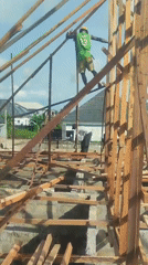 Construction workers frame building, one balancing on wooden beams