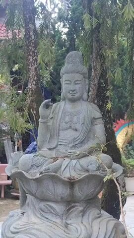 A stone statue of a seated Buddha is displayed outdoors, surrounded by trees with weeping branches. The Buddha statue is intricately carved, with a serene expression and delicate facial features. It rests on a lotus flower base. The statue appears weathered, with some debris scattered on its surface, suggesting it has been exposed to the elements. In the background, a partial view of a colorful, possibly dragon-shaped, decoration can be seen. The environment appears to be a garden or temple courtyard, with lush greenery and tree trunks visible. The lighting suggests it is daytime, with the sunlight filtering through the leaves, creating a soft illumination. The camera angle is centered on the Buddha statue, emphasizing its presence and detail.