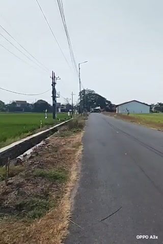 The video shows a first-person perspective of a road with a field to the right. The road is asphalt and has tire marks visible. There are power lines and poles on the left side of the road, and a ditch alongside them. The field appears to be agricultural, possibly rice paddies, with some green crops and dry patches. In the distance, there are some trees, buildings, and a faint mountain or hill on the horizon. The sky is clear and bright. There are no people or vehicles visible in the immediate foreground or clearly identifiable in the distance. The video seems to be a recording of someone traveling along the road.