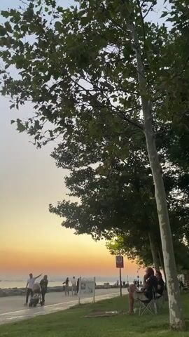 A vertical, wide shot captures a tranquil sunset scene by the water. In the foreground, the lower branches and leaves of a large tree dominate the right side of the frame, casting shadows. A green grassy area is visible at the bottom, transitioning to a paved pathway. Several people are scattered along the pathway. On the left, a couple pushes a stroller. Further down the path, a group of people are gathered, with one person sitting in a chair. In the distance, the water stretches out, dotted with a few ships. The sky displays a gradient of colors, transitioning from a soft orange and pink near the horizon to a pale blue at the top. The overall atmosphere is peaceful and serene.