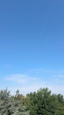 The video is a vertical shot of a clear blue sky with a faint contrail from an airplane. The lower portion of the video shows a dense line of green trees.
