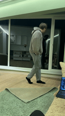 Evening domestic scenes captured across Kursk including guitar playing, hedgehog incident