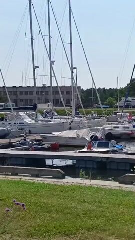 The video shows a marina on a sunny day. Several sailboats are docked, their tall masts extending towards a clear blue sky. In the foreground, a wooden pier juts out into the water, with a few smaller boats moored alongside it. The water is calm, reflecting the boats and the sky. Beyond the marina, there are buildings and trees, suggesting a waterfront town or resort. The overall impression is one of peaceful activity, with the boats ready for sailing and the marina providing a safe haven.