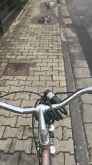 Sunday morning routine documented in German suburb