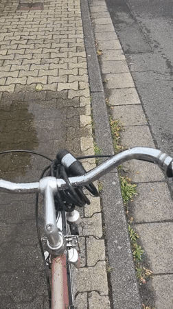 Sunday morning routine documented in German suburb