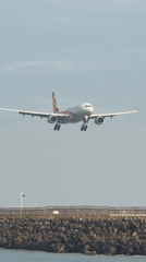 Lion Air flight lands at Denpasar's Ngurah Rai Airport