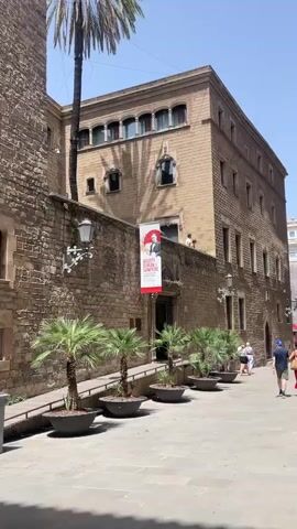 This video captures a sunny day in Barcelona, Spain, with a focus on an outdoor pedestrian walkway lined with potted palm trees. The scene is dominated by a large, tan-colored stone building with arched windows on its upper floors. To the left, a tall stone wall, possibly part of an older structure, runs along the walkway, adorned with ornate lampposts. A tall palm tree with a slender trunk extends upwards, its fronds casting shadows on the building.

A prominent banner hangs from the building, featuring a portrait of a man in formal attire and text that reads "AGUSTÍ DURAN I SANPERE" and "UNA VIDA DE DEDICACIÓ A LA HISTÒRIA I L'ART DE CATALUNYA" (A life of dedication to the history and art of Catalonia). This suggests an exhibition or tribute related to this individual.

Several people are visible walking along the pathway. Some are tourists, as indicated by their casual attire and the relaxed atmosphere. A woman in a red dress is walking away from the camera, while others stroll in pairs or small groups. The bright sunlight and clear blue sky indicate it is daytime, likely late morning or early afternoon. The overall mood is peaceful and inviting, typical of a pleasant day in a historic European city. The cobblestone pavement and the architecture strongly suggest an old town or historic district within Barcelona.