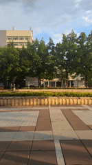 Afternoon plaza life documented near Bulgarian university campus