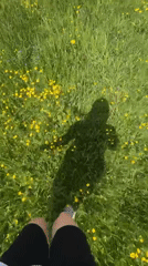 Person walks through flower-dotted field in Tovstoluh, Ukraine