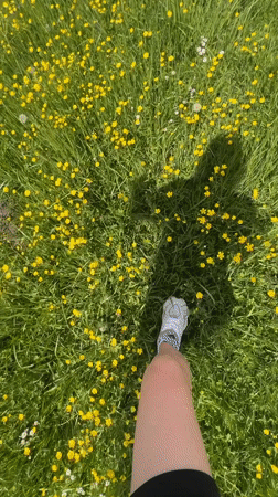 Person walks through flower-dotted field in Tovstoluh, Ukraine
