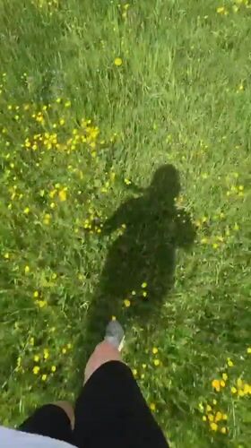 Person walks through flower-dotted field in Tovstoluh, Ukraine