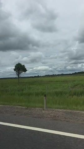 The video shows a view from a car driving on a road. The road has a white line on the right side. In the background, there is a green field with some white flowers and a fence. There is a single tree on the right side of the field. The sky is cloudy and overcast.