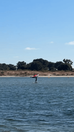 Wing foiling on San Diego water on a sunny afternoon