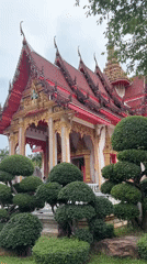 Tourist documents Buddhist temple architecture and cats in Thailand