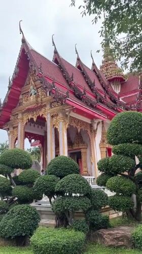 Tourist documents Buddhist temple architecture and cats in Thailand
