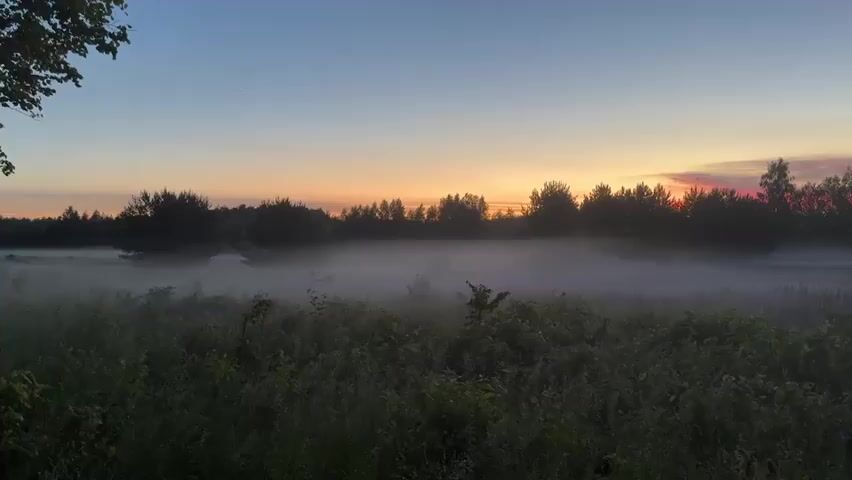 This is a wide shot of a misty field at dusk. The sky is a gradient of blue and orange, with the sun setting on the horizon behind a line of trees. The foreground is filled with dark green vegetation and a dense layer of fog. The fog obscures the ground in the middle distance, creating an ethereal atmosphere. The overall scene is tranquil and serene, conveying a sense of peace and natural beauty.