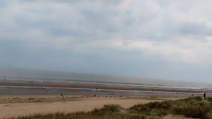 A wide, panoramic video pans across a beach landscape under a cloudy sky. In the foreground, tall, dry grass grows on sand dunes. Beyond the dunes, a wide, flat beach stretches out, with the ocean visible in the distance. Several small figures, presumably people, are scattered across the beach and near the water's edge. As the camera continues to pan, a row of modern houses and a parking lot filled with cars come into view. The scene suggests a coastal residential area with public access to the beach.