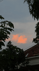 Morning moments captured across Gadingrejo Indonesia residential area