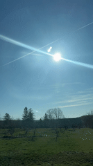 Aircraft contrails cross sunny spring sky over Wallkill